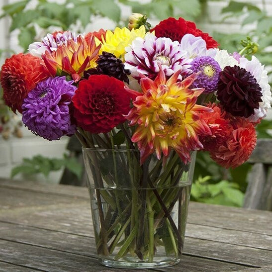 Cut Flower Special